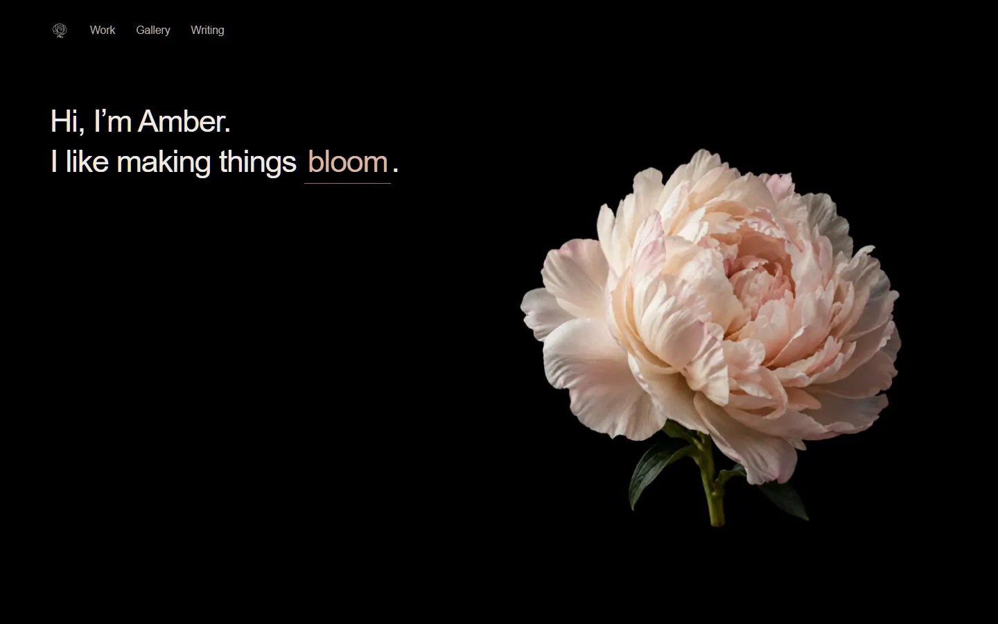 Homepage preview of Amber Shen